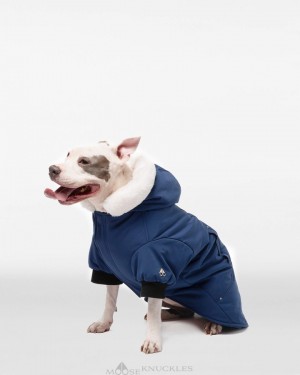 Moose Knuckles Pooch Parka Pet Dames Blauw Wit | LYH372509