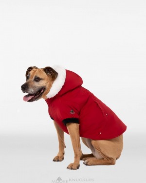 Moose Knuckles Pooch Parka Pet Dames Dieprood Wit | ZYO096851