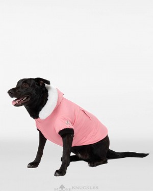 Moose Knuckles Pooch Parka Pet Dames Wit | ODN897406