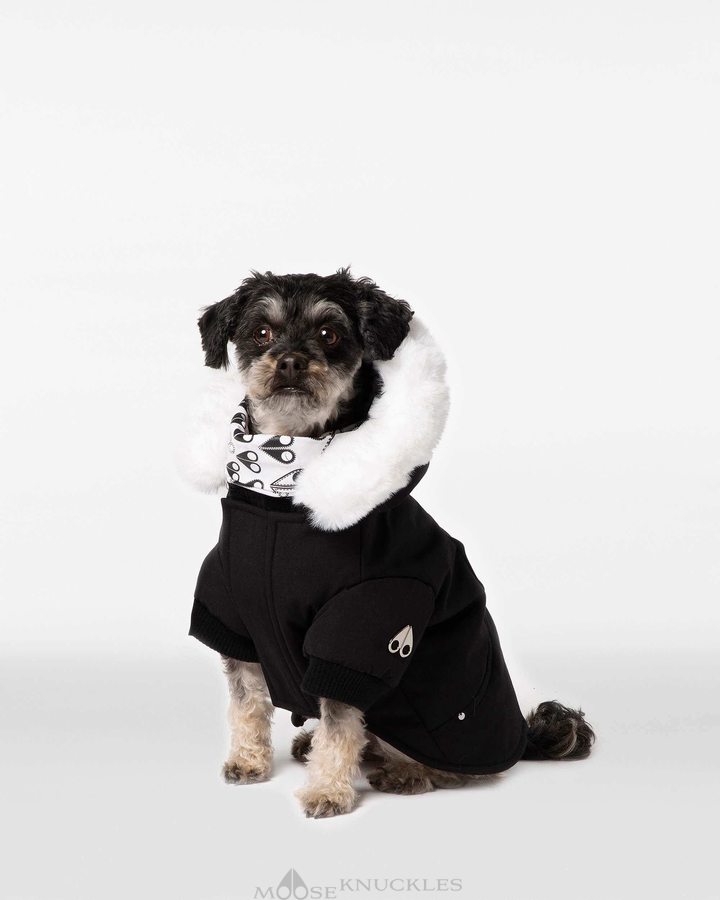 Moose Knuckles Pooch Parka Pet Dames Zwart Wit | IWT614890