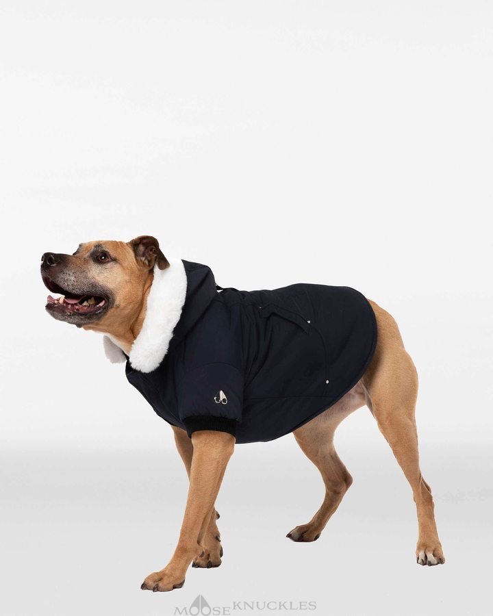 Moose Knuckles Pooch Parka Pet Dames Zwart Wit | IWT614890