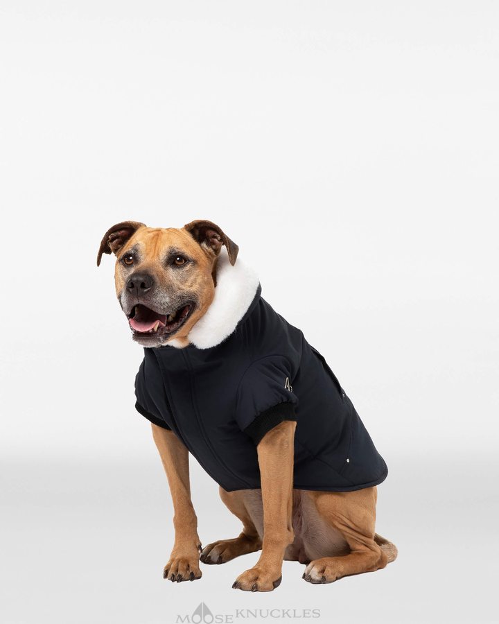 Moose Knuckles Pooch Parka Pet Dames Zwart Wit | IWT614890