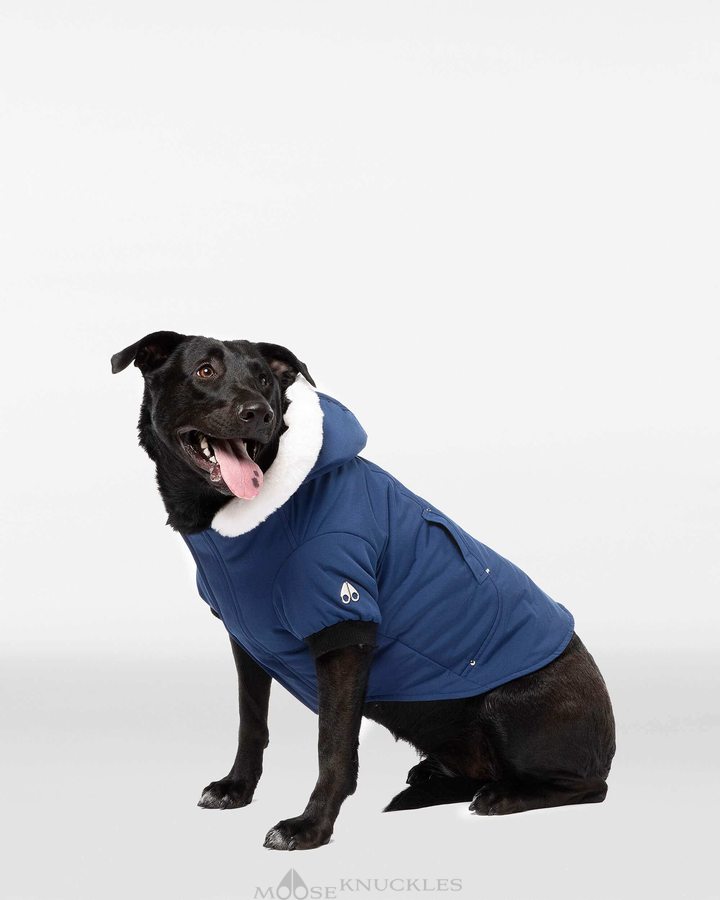 Moose Knuckles Pooch Parka Pet Heren Blauw Wit | QMV905368