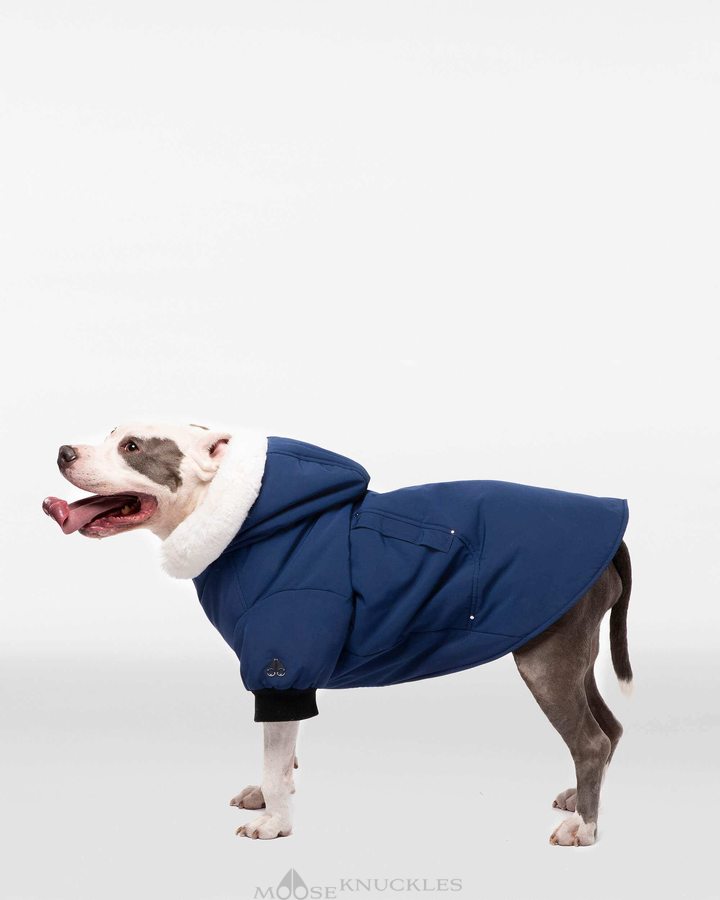 Moose Knuckles Pooch Parka Pet Heren Blauw Wit | QMV905368