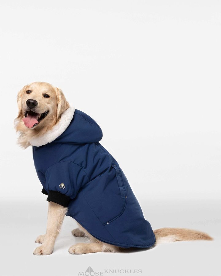 Moose Knuckles Pooch Parka Pet Heren Blauw Wit | QMV905368