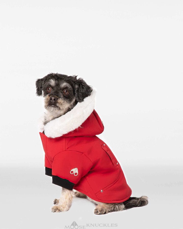 Moose Knuckles Pooch Parka Pet Heren Dieprood Wit | WZU839457